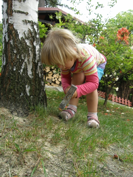 P5315214.JPG
