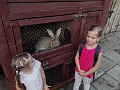 IMG_20160625_191624